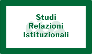 Struttura Organizzativa