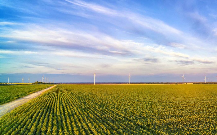 Tutela ambiente, biodiversità ed ecosistemi entra in Costituzione