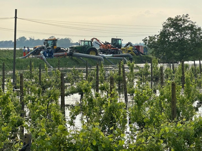 Alluvione: dal 3 luglio attivi i prestiti Ismea a tasso zero per le Pmi agricole