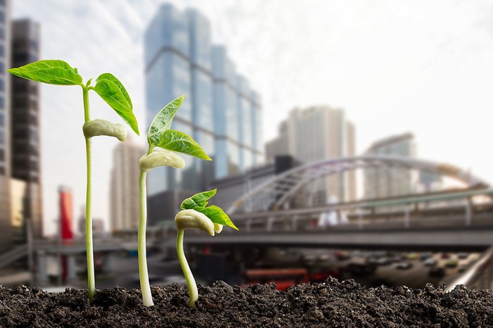 Cia: subito legge su consumo di suolo. Agricoltura sempre più a rischio