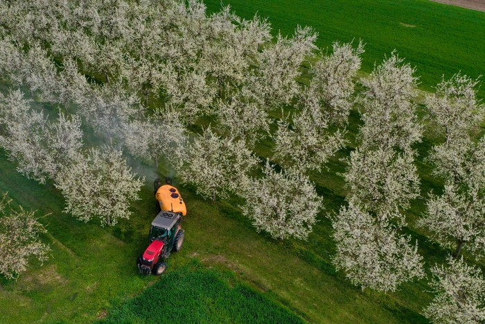 Ue: organizzazioni vino di Italia, Francia e Spagna contro analisi d'impatto SUR