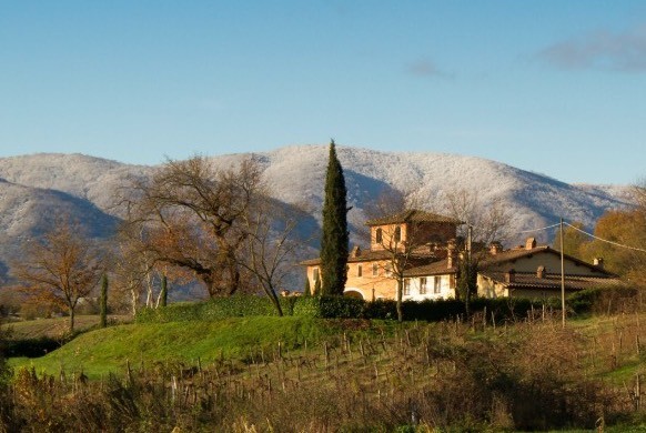 Agriturismi: Cia, aziende a +2% in un anno. Serve vera attenzione Ue nella Pac