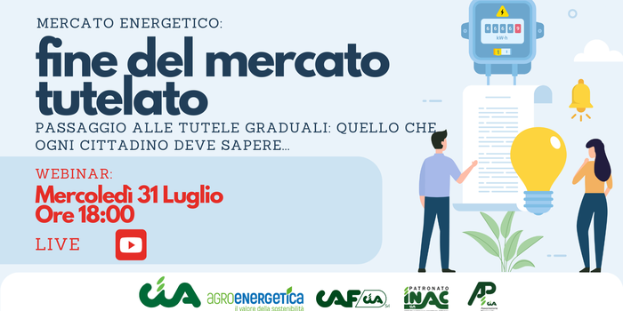 Verso la fine del mercato tutelato – clienti domestici