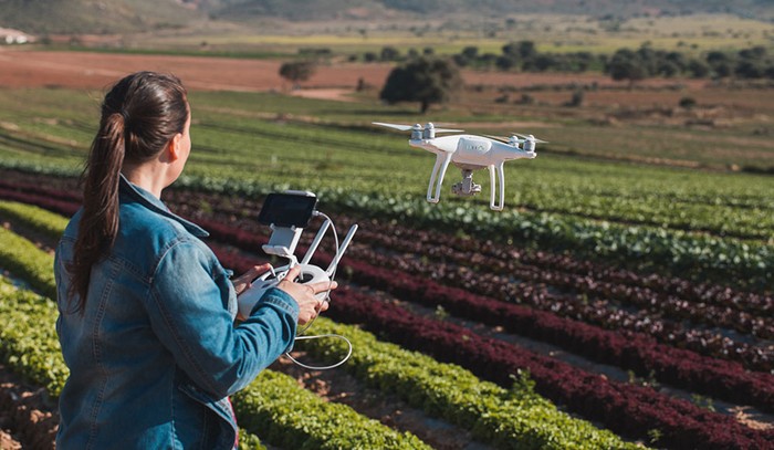 Intelligenza artificiale in agricoltura contro insicurezza alimentare