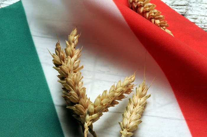 Grano: da Bari nuova mobilitazione Cia a difesa del Made in Italy