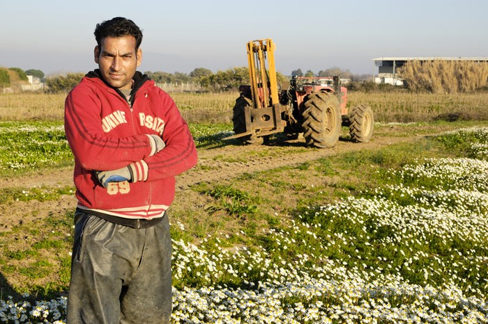 Immigrati: Cia, nei campi quasi 360.000 lavoratori stranieri. Servono nuove politiche