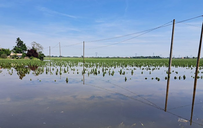 Decreto Alluvioni: Inac-Cia, stop ai versamenti dei contributi agricoli