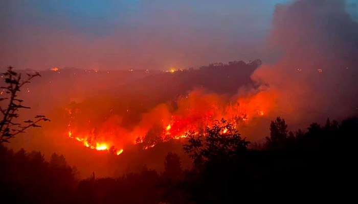 Incendi: Cia Sicilia, danni incalcolabili a zootecnia estensiva. Appello alla Regione