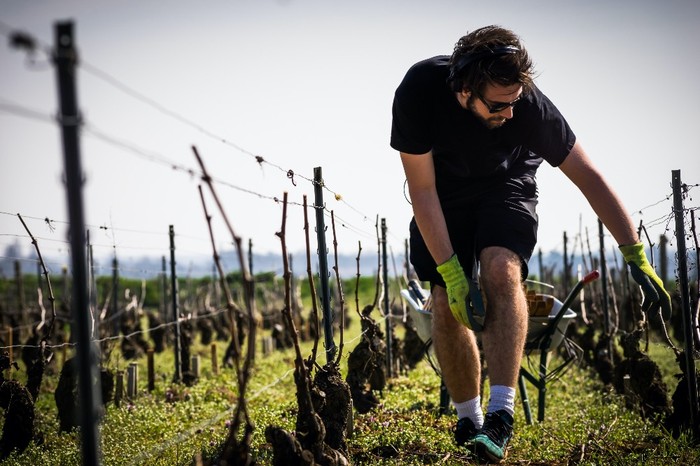 Cia Veneto: in regione giovani agricoltori in aumento. Bene legge dedicata