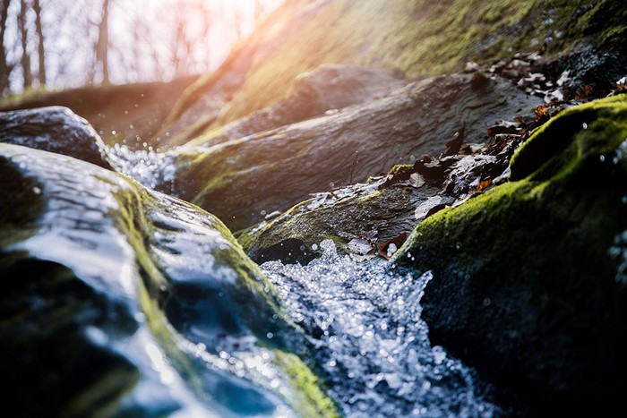 Acqua: Cia, tutelare gli ecosistemi idrici che dipendono dalle sorgenti